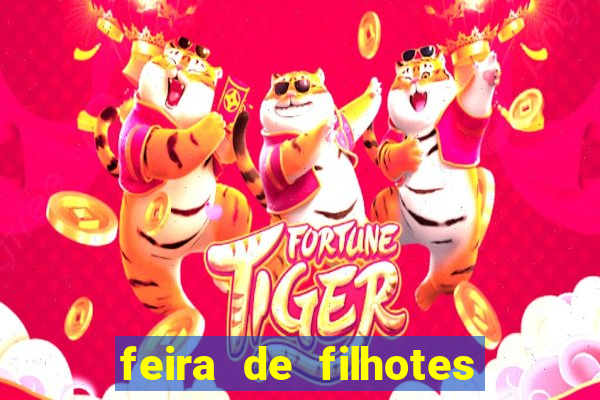 feira de filhotes porto alegre